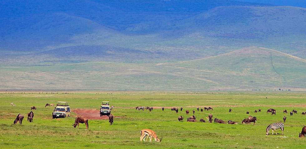 10 Days Best of Africa Budget Safari Kenya and Tanzania