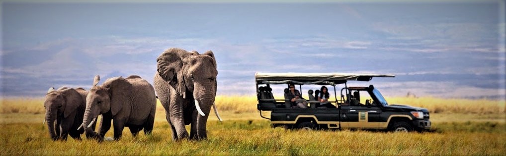 12 Days best African safari holiday in Kenya and Tanzania.